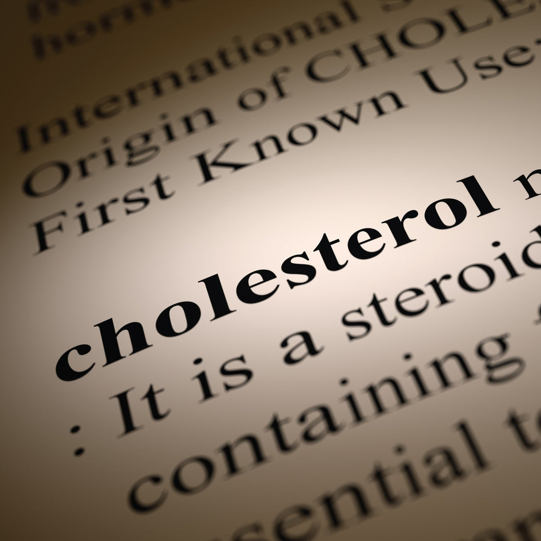 In Praise of Cholesterol